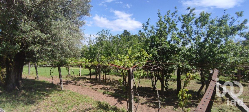 Ferme T2 à Cardielos e Serreleis de 166 m²