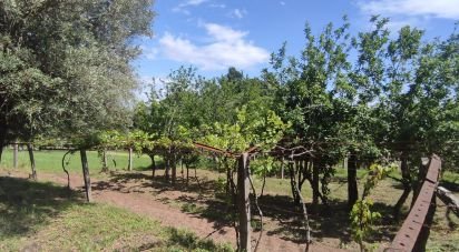 Ferme T2 à Cardielos e Serreleis de 166 m²