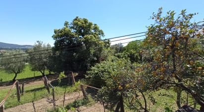 Ferme T2 à Cardielos e Serreleis de 166 m²