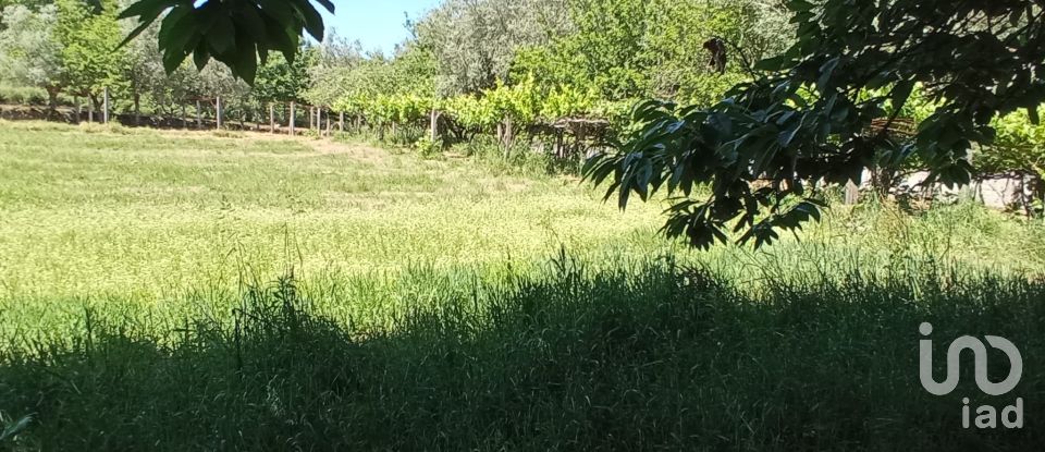 Farm T2 in Cardielos e Serreleis of 166 m²