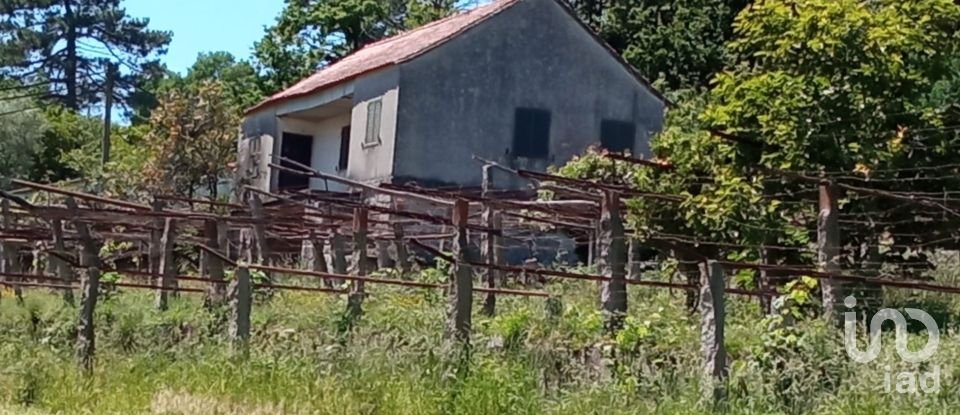 Farmhouse T2 in Cardielos e Serreleis of 70 sq m