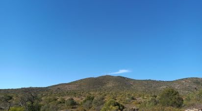 Terrain à Moncarapacho e Fuseta de 51 840 m²