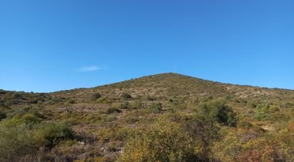 Terrain à Moncarapacho e Fuseta de 51 840 m²