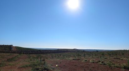 Terrain à Moncarapacho e Fuseta de 51 840 m²