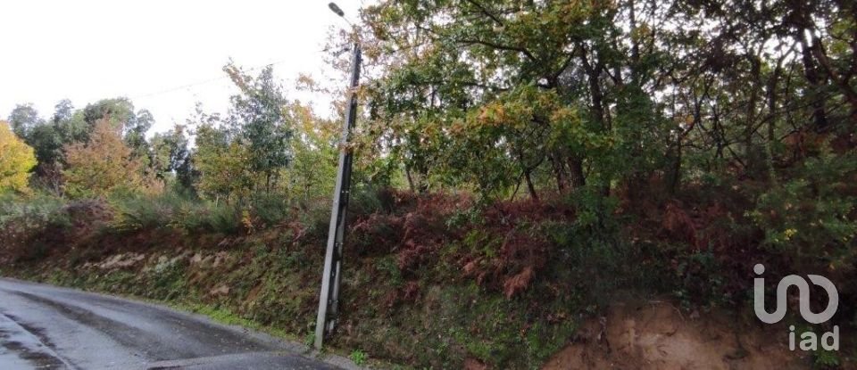 Building land in Ganfei of 1,450 m²