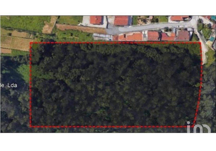 Land in Nogueira da Regedoura of 11,600 m²