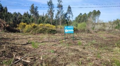 Building plot in Guia, Ilha e Mata Mourisca of 5,930 m²