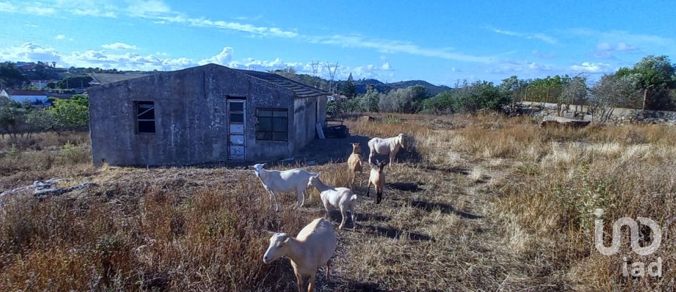 Building land in Vila Franca de Xira of 12,682 m²
