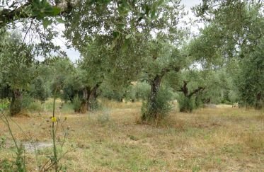 Land in Paialvo of 3,160 m²