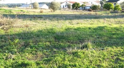 Terrain à Asseiceira de 6 920 m²