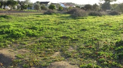 Land in Asseiceira of 6,920 m²