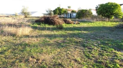 Terrain à Asseiceira de 6 920 m²