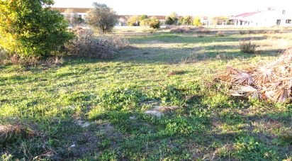 Terrain à Asseiceira de 6 920 m²