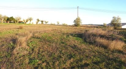 Land in Asseiceira of 6,920 m²