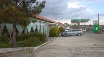 Commercial walls in Pega of 1,924 m²