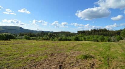 Building plot in São Miguel, Santa Eufémia e Rabaçal of 8,750 m²