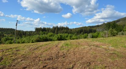 Terreno urbano em São Miguel, Santa Eufémia e Rabaçal de 8 750 m²