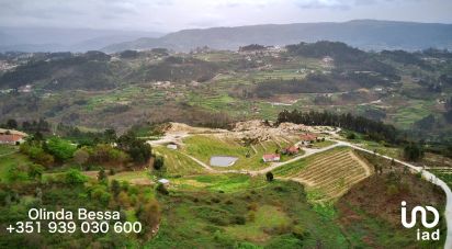 Farm T0 in Louredo of 132,700 m²