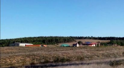 Terrain agricole à Perais de 39 000 m²