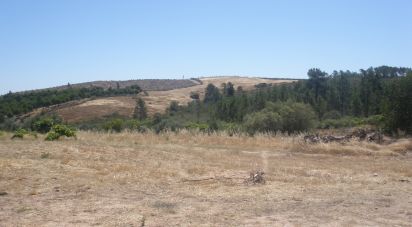 Terrain agricole à Perais de 39 000 m²