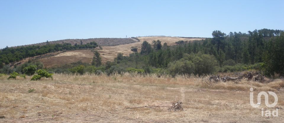 Agricultural land in Perais of 39,000 m²