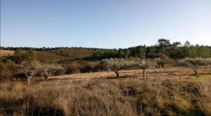 Terrain agricole à Perais de 39 000 m²