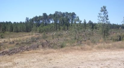 Agricultural land in Perais of 39,000 m²