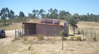 Terrain agricole à Perais de 39 000 m²