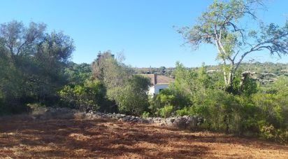 Land in Loulé (São Sebastião) of 6,860 m²