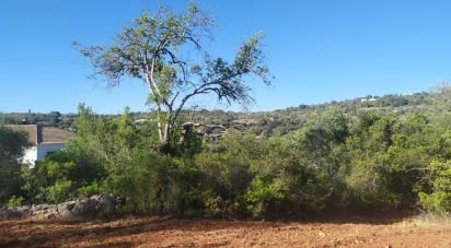 Land in Loulé (São Sebastião) of 6,860 m²