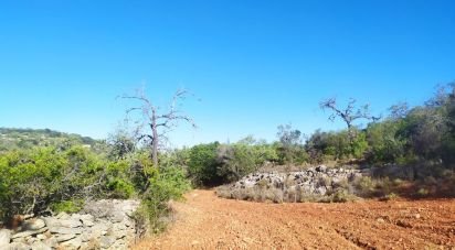 Land in Loulé (São Sebastião) of 6,860 m²