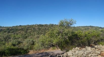 Land in Loulé (São Sebastião) of 6,860 m²