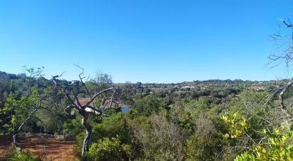 Land in Loulé (São Sebastião) of 6,860 m²