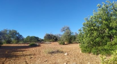 Land in Loulé (São Sebastião) of 6,100 m²