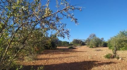 Land in Loulé (São Sebastião) of 6,100 m²