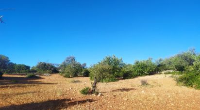 Land in Loulé (São Sebastião) of 6,100 m²