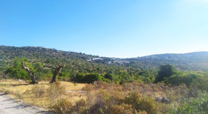 Land in Loulé (São Sebastião) of 6,100 m²