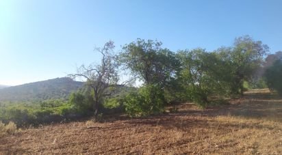 Land in Loulé (São Sebastião) of 6,100 m²