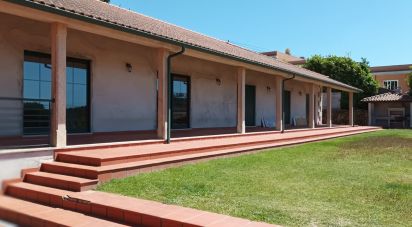 Gîte T5 à Antas de 486 m²