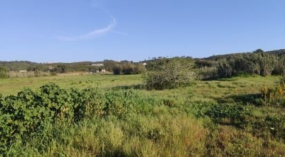 Land in Sesimbra (Castelo) of 24,750 m²