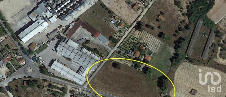 Terreno para construção em Salvaterra de Magos e Foros de Salvaterra de 5 120 m²