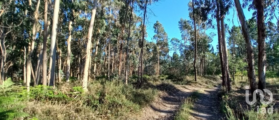Farm land in Campo E Tamel (São Pedro Fins) of 14,920 m²