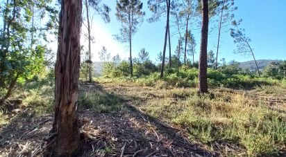 Terrain agricole à Campo E Tamel (São Pedro Fins) de 14 920 m²