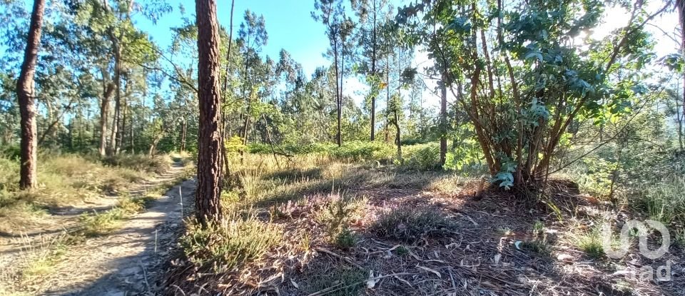 Farm land in Campo E Tamel (São Pedro Fins) of 14,920 m²