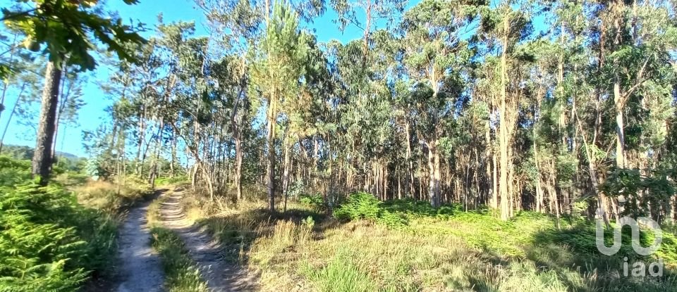 Farm land in Campo E Tamel (São Pedro Fins) of 14,920 m²