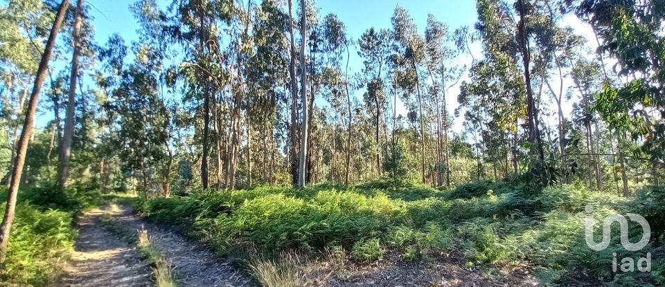 Farm land in Campo E Tamel (São Pedro Fins) of 14,920 m²