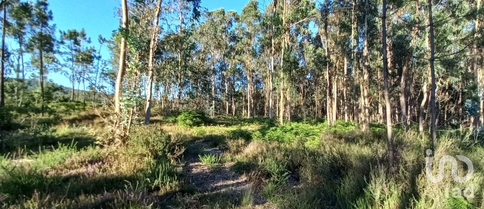 Farm land in Campo E Tamel (São Pedro Fins) of 14,920 m²