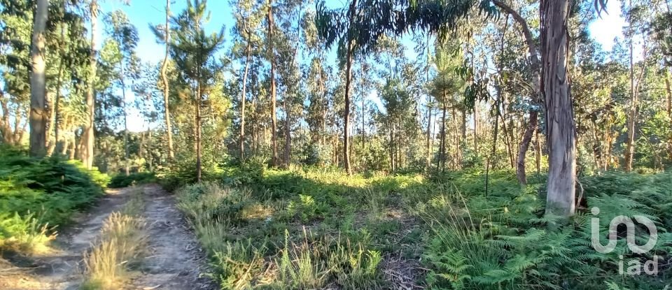 Farm land in Campo E Tamel (São Pedro Fins) of 14,920 m²