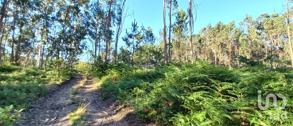 Farm land in Campo E Tamel (São Pedro Fins) of 14,920 m²