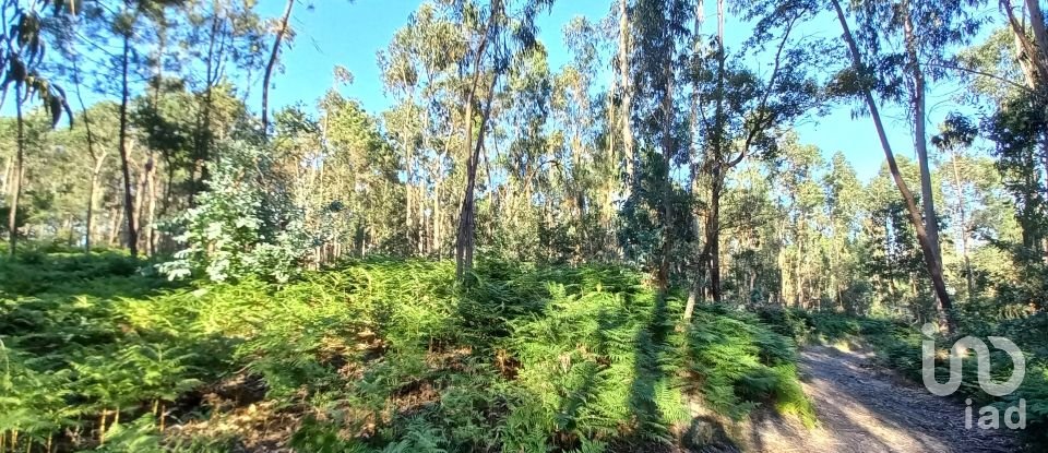 Farm land in Campo E Tamel (São Pedro Fins) of 14,920 m²